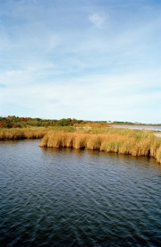 Nantucket Horizon Series #12