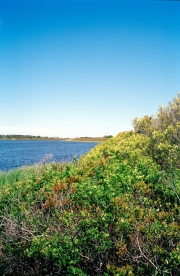 Nantucket Horizon Series #15