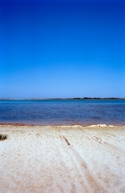 Nantucket Horizon Series #8