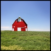 Barn Series #3