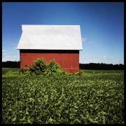 Barn Series #6