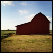 Barn Series #7